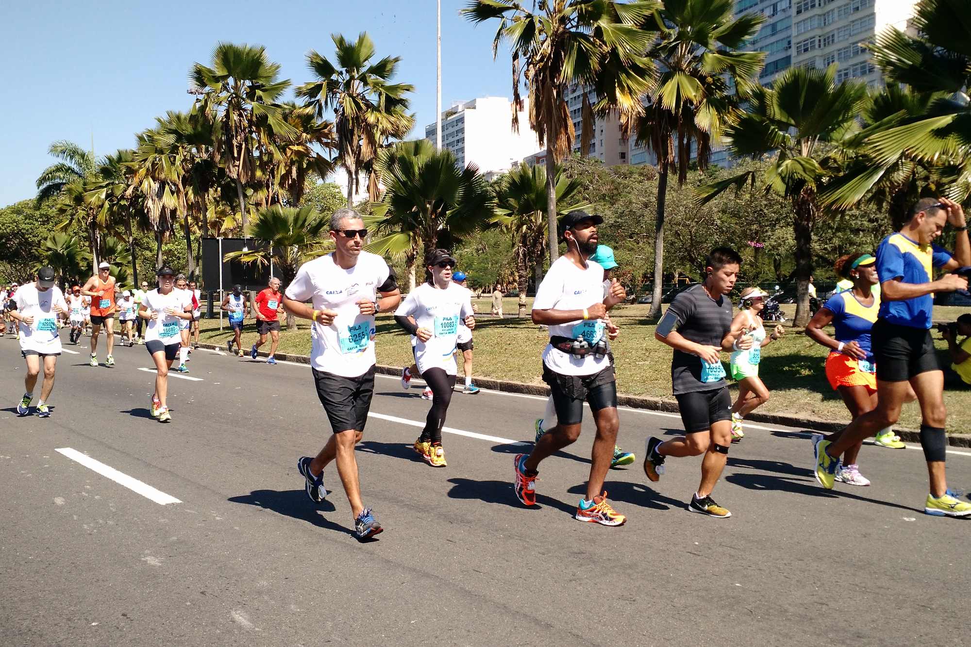 Corredores com número de peito numa avenida do Aterro do Flamengo, no Rio de Janeiro, com palmeiras e prédios ao fundo, durante a Meia Maratona Internacional do Rio de 2015.