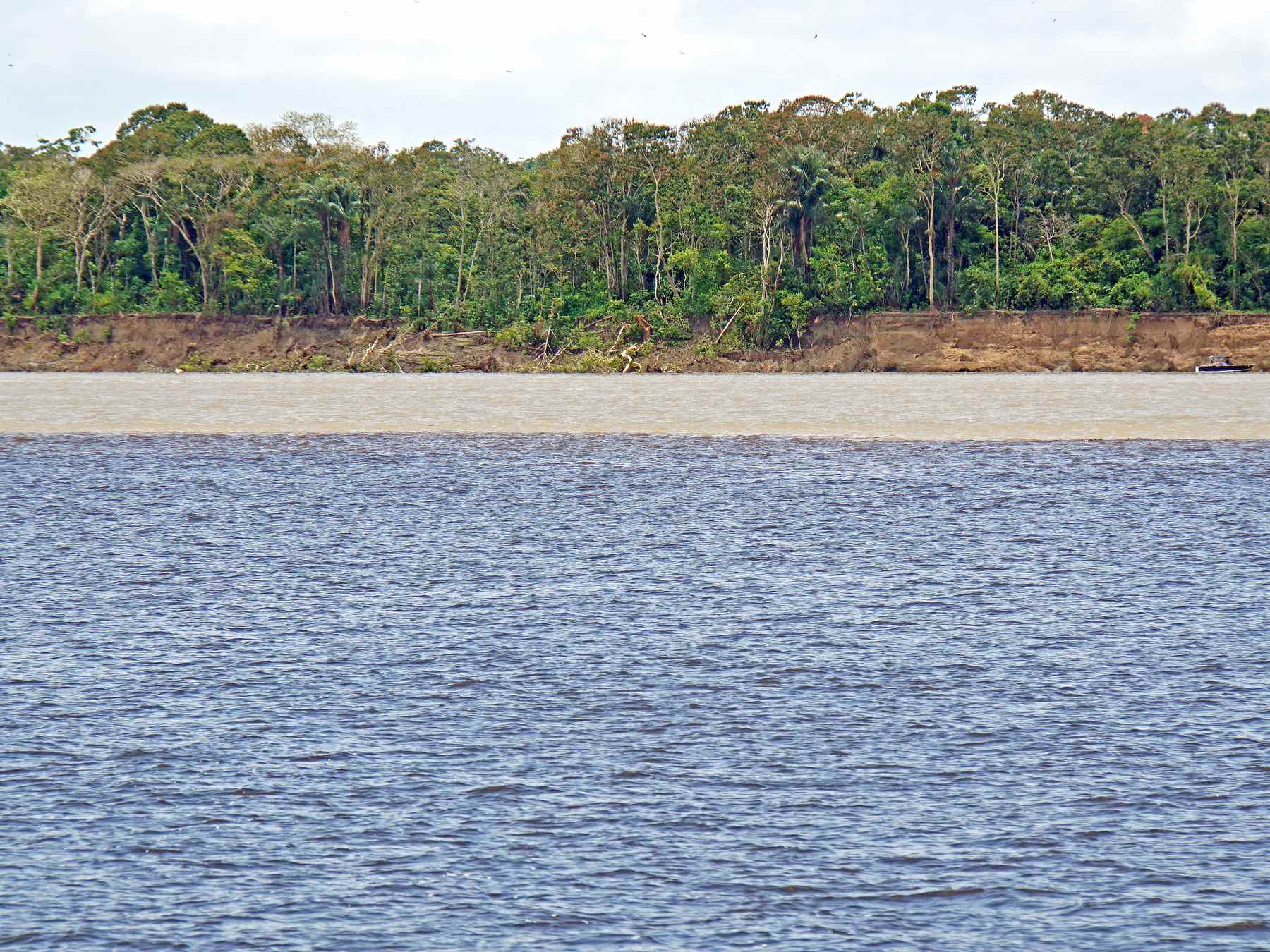 Encontro das Águas em Manaus, com a linha reta e nítida entre a água escura do rio Negro e a água barrenta do rio Solimões e a floresta na margem ao fundo