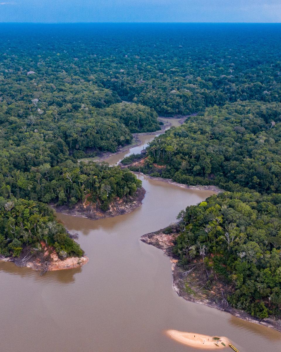 Vista aérea da floresta amazônica no Amazonas, com um rio barrento serpenteando entre a mata fechada e bancos de areia expostos nas curvas.