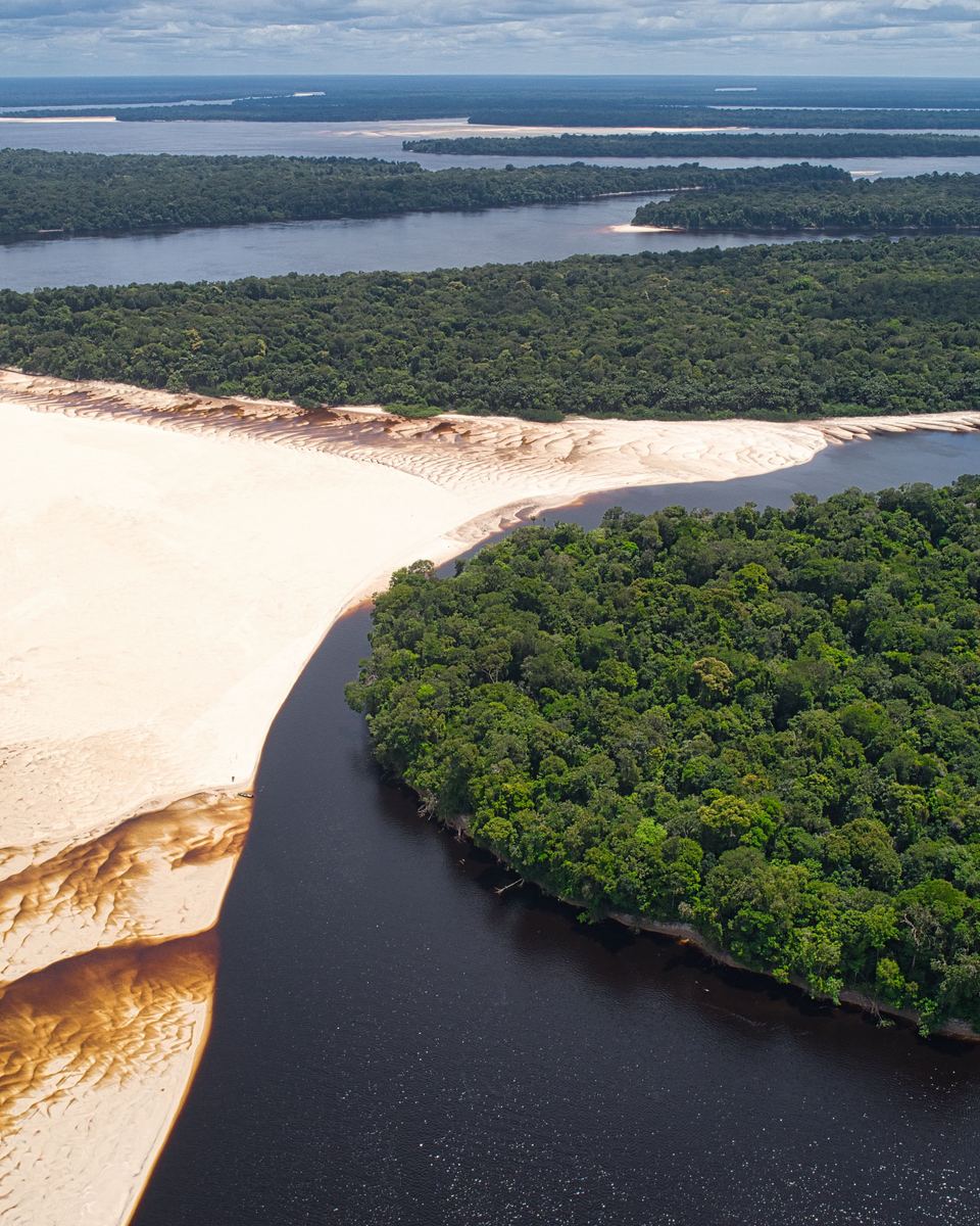 Vista aérea de um banco de areia exposto na vazante do rio, em Barcelos, no Amazonas, com a água escura de um lado, a água clara do outro e a floresta ao redor.