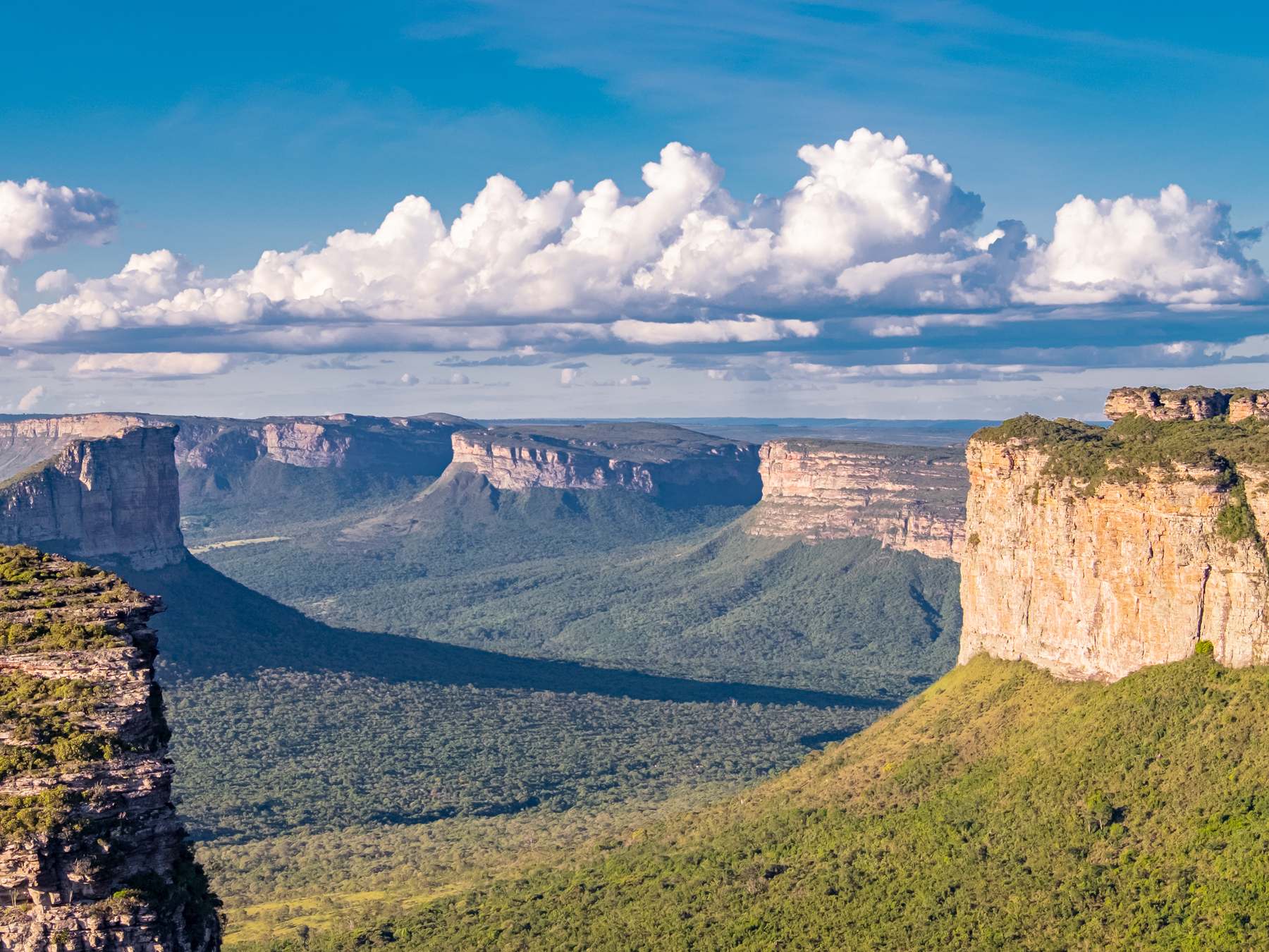 Paredões de arenito e vales verdes da Chapada Diamantina vistos do alto de um morro, com nuvens brancas no céu azul.