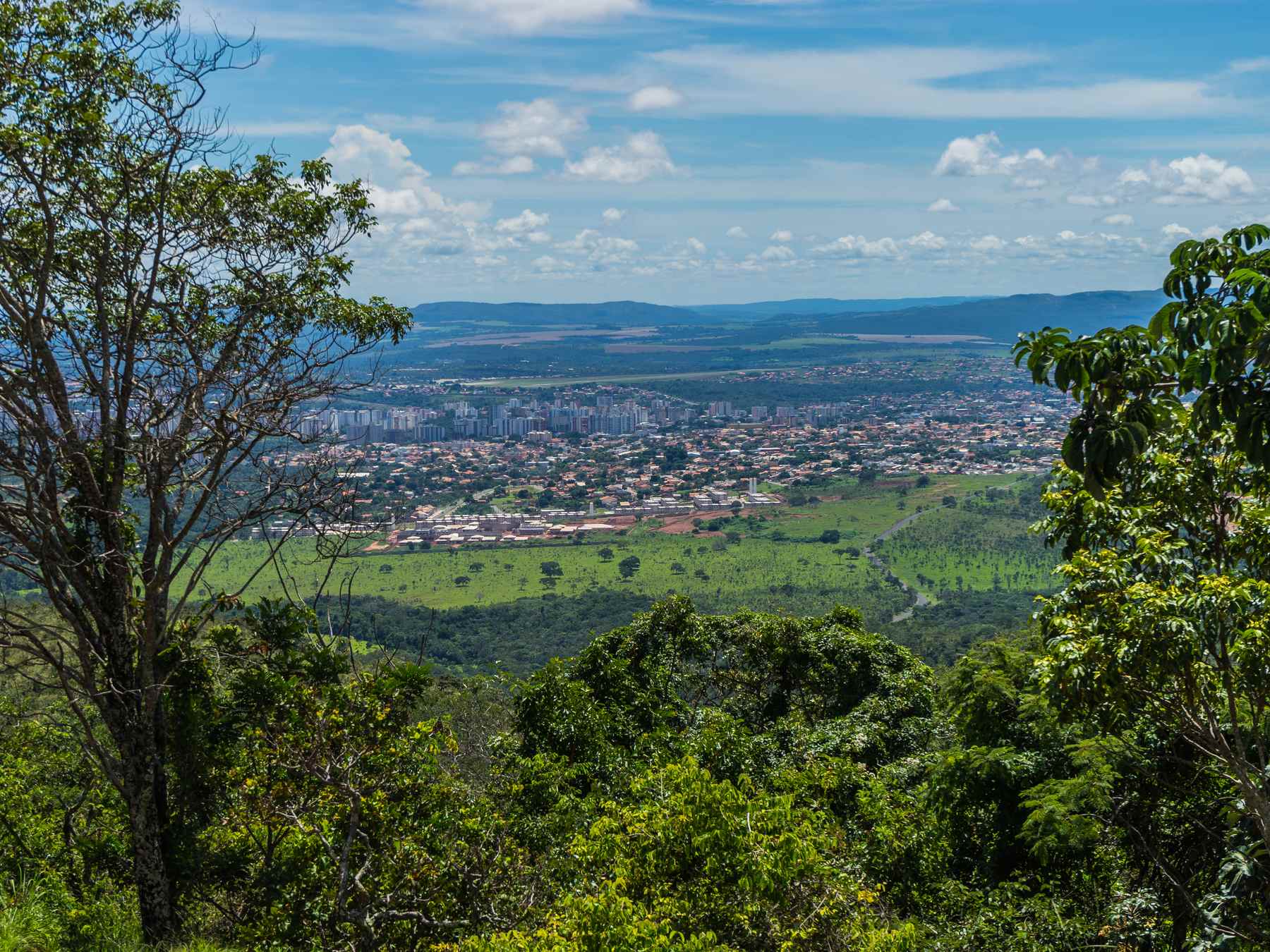 Caldas Novas vista do alto da Serra de Caldas, com a cidade e os prédios espalhados pela planície verde até o horizonte, emoldurados por árvores do cerrado, sob céu azul com nuvens brancas.