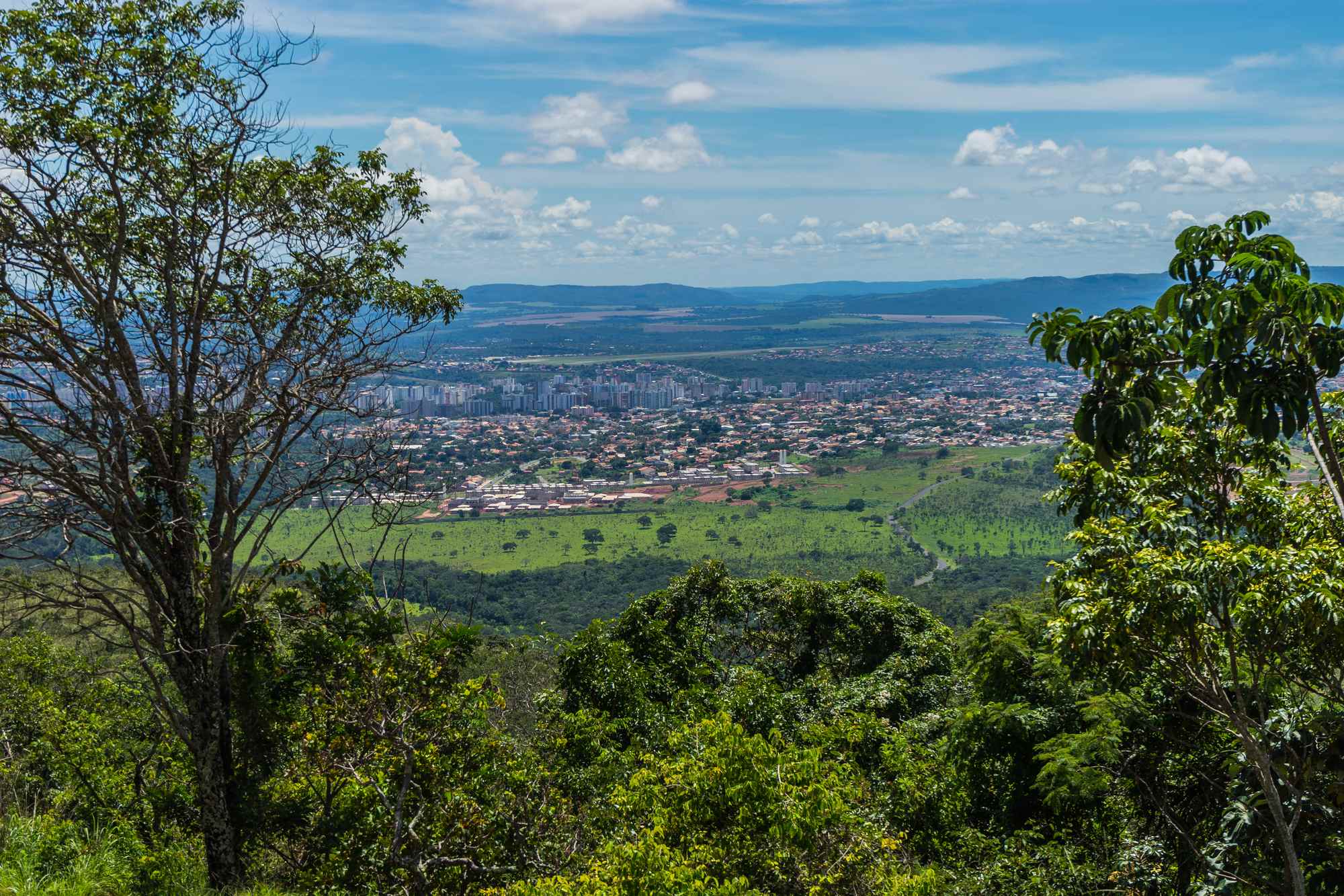 Caldas Novas vista do alto da Serra de Caldas, com a cidade e os prédios espalhados pela planície verde até o horizonte, emoldurados por árvores do cerrado, sob céu azul com nuvens brancas.