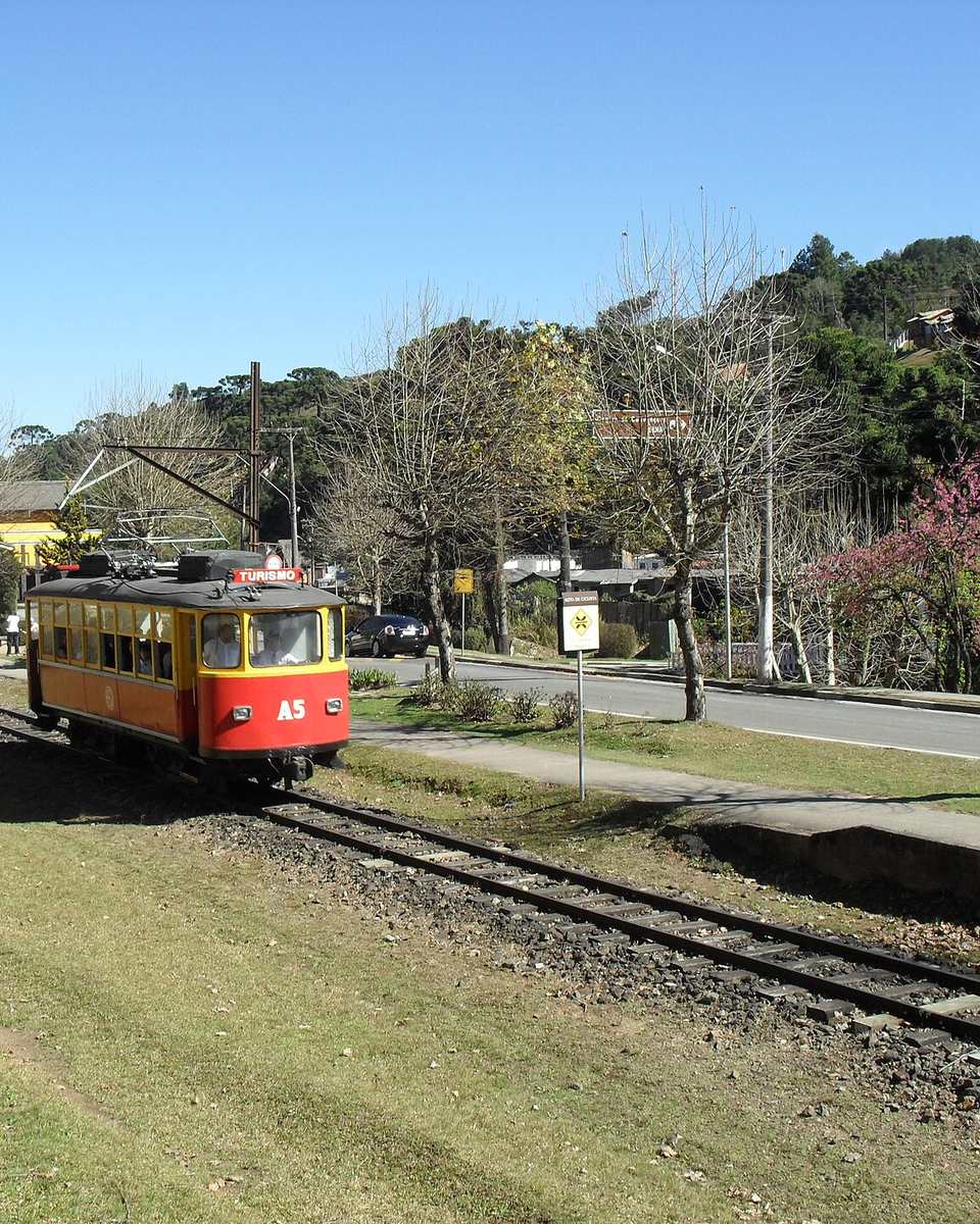 Bondinho vermelho e amarelo da Estrada de Ferro Campos do Jordão passando pelos trilhos num gramado, entre árvores sem folhas e uma árvore de flores cor-de-rosa, num dia de céu azul.