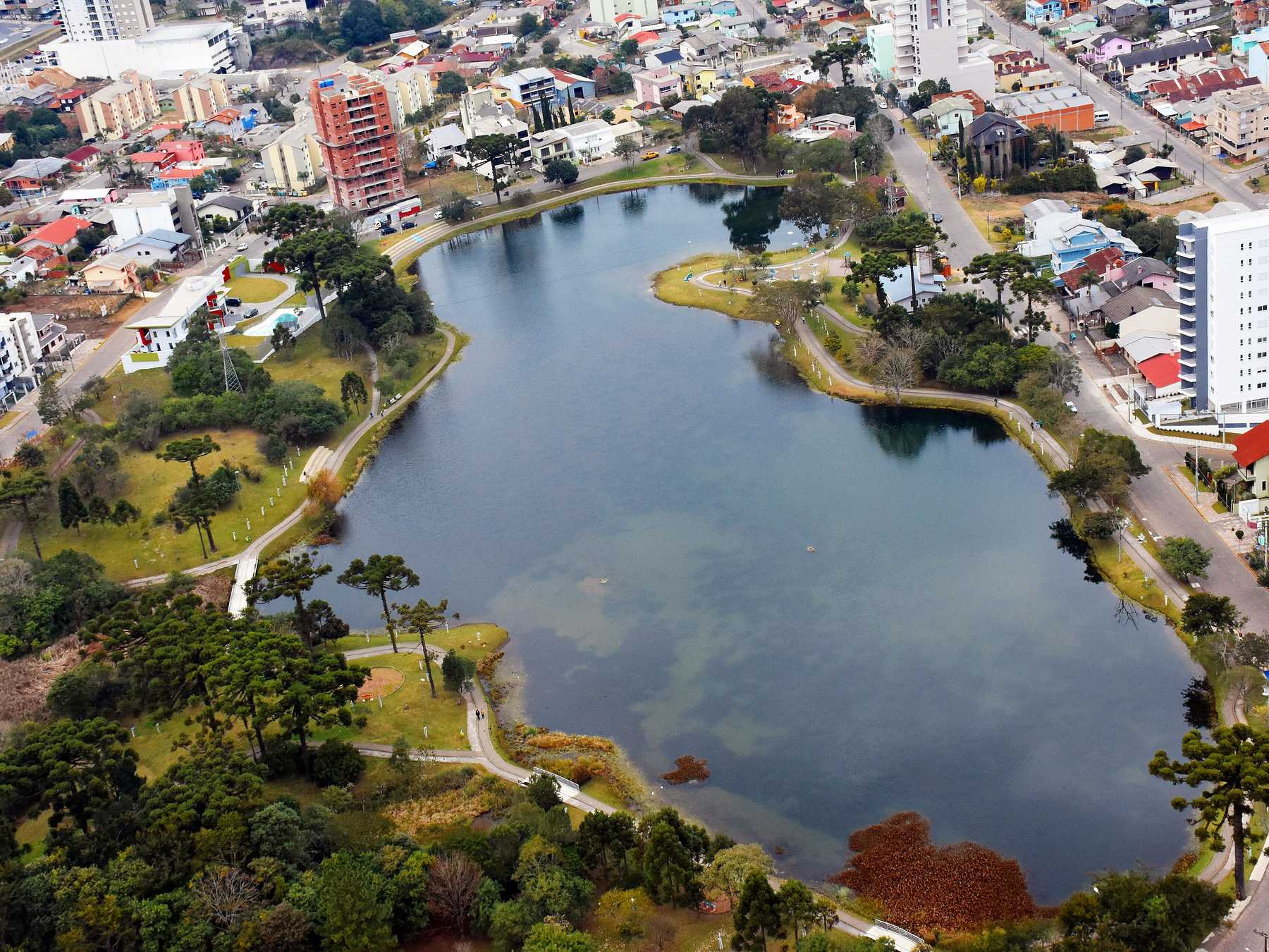Vista aérea da Lagoa do Desvio Rizzo, em Caxias do Sul, com a pista de caminhada e o gramado em volta da água, árvores e os prédios do bairro ao redor.