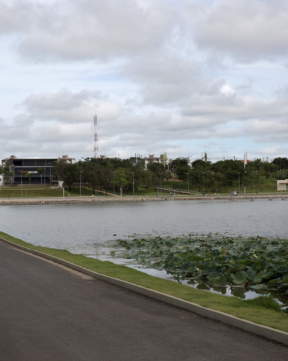 Pista de caminhada à beira do lago do Parque das Águas, em Cuiabá, com palmeiras à esquerda e vitórias-régias cobrindo parte da água.