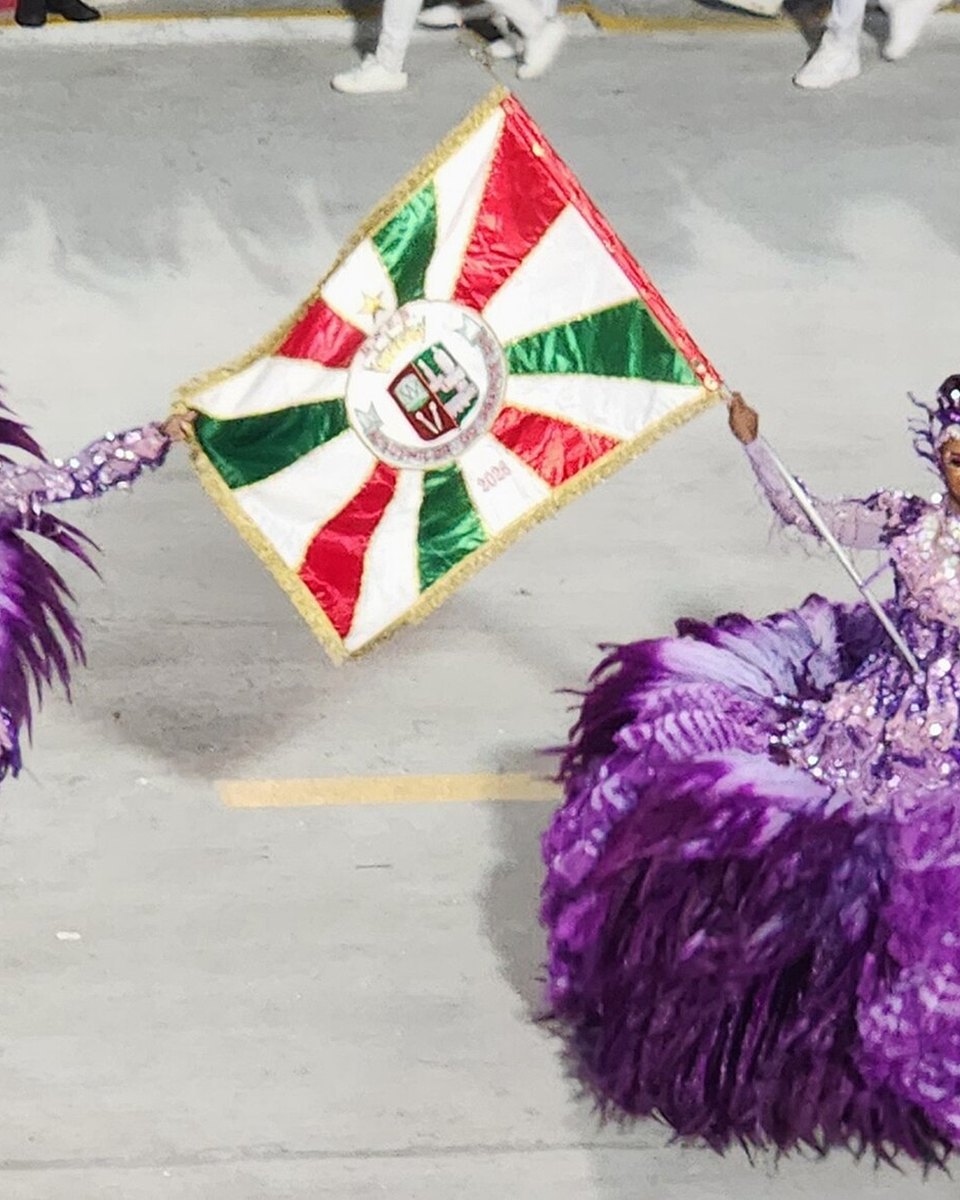 Mestre-sala e porta-bandeira da Grande Rio de roxo e lilás, com plumas e brilho, sorrindo e girando a bandeira verde, vermelha e branca da escola na pista do Sambódromo.