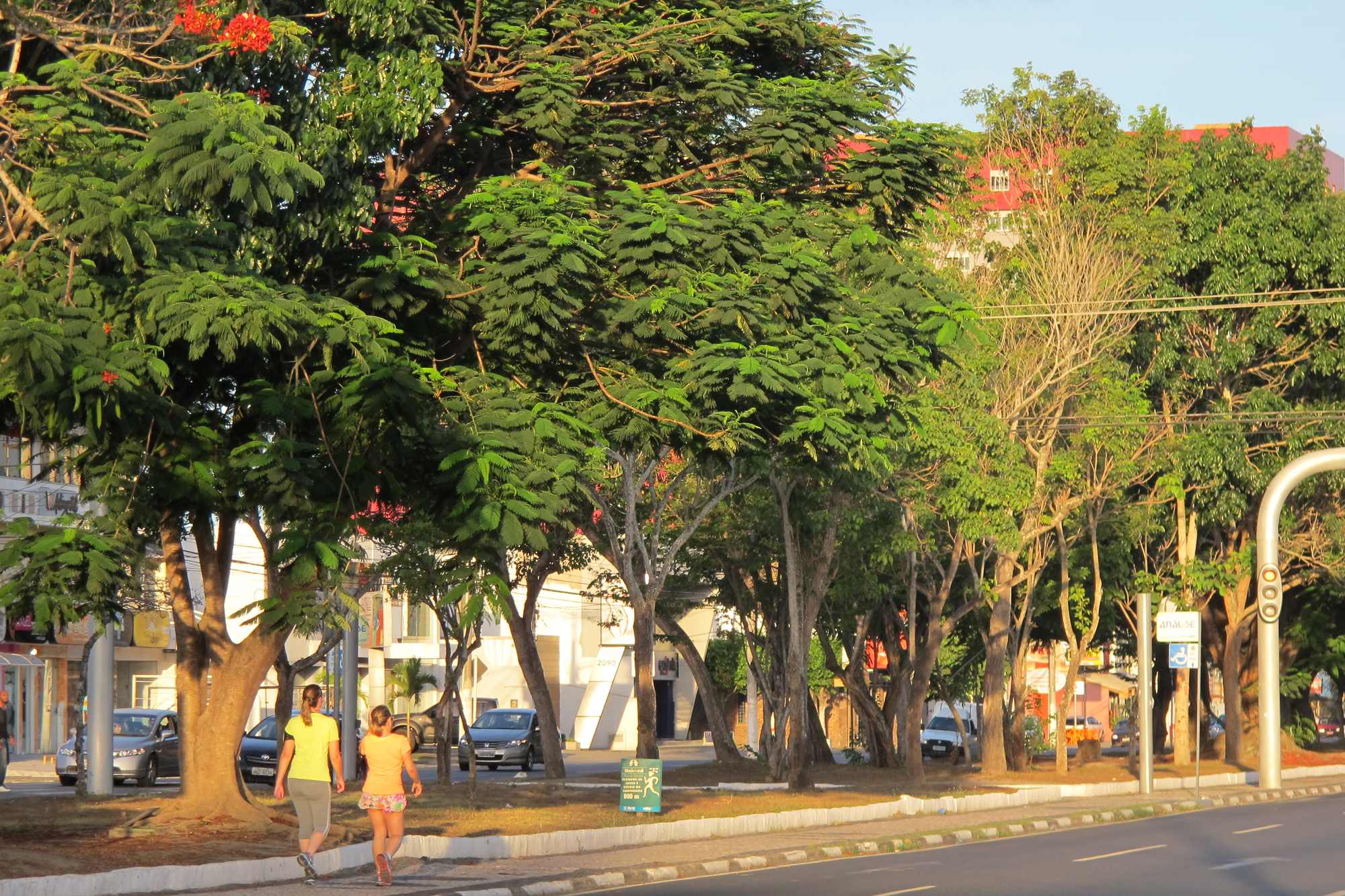 Duas mulheres caminhando na Avenida Getúlio Vargas, em Feira de Santana, sob árvores de copa larga, com carros estacionados, prédios do Centro ao fundo e a luz dourada do fim de tarde.