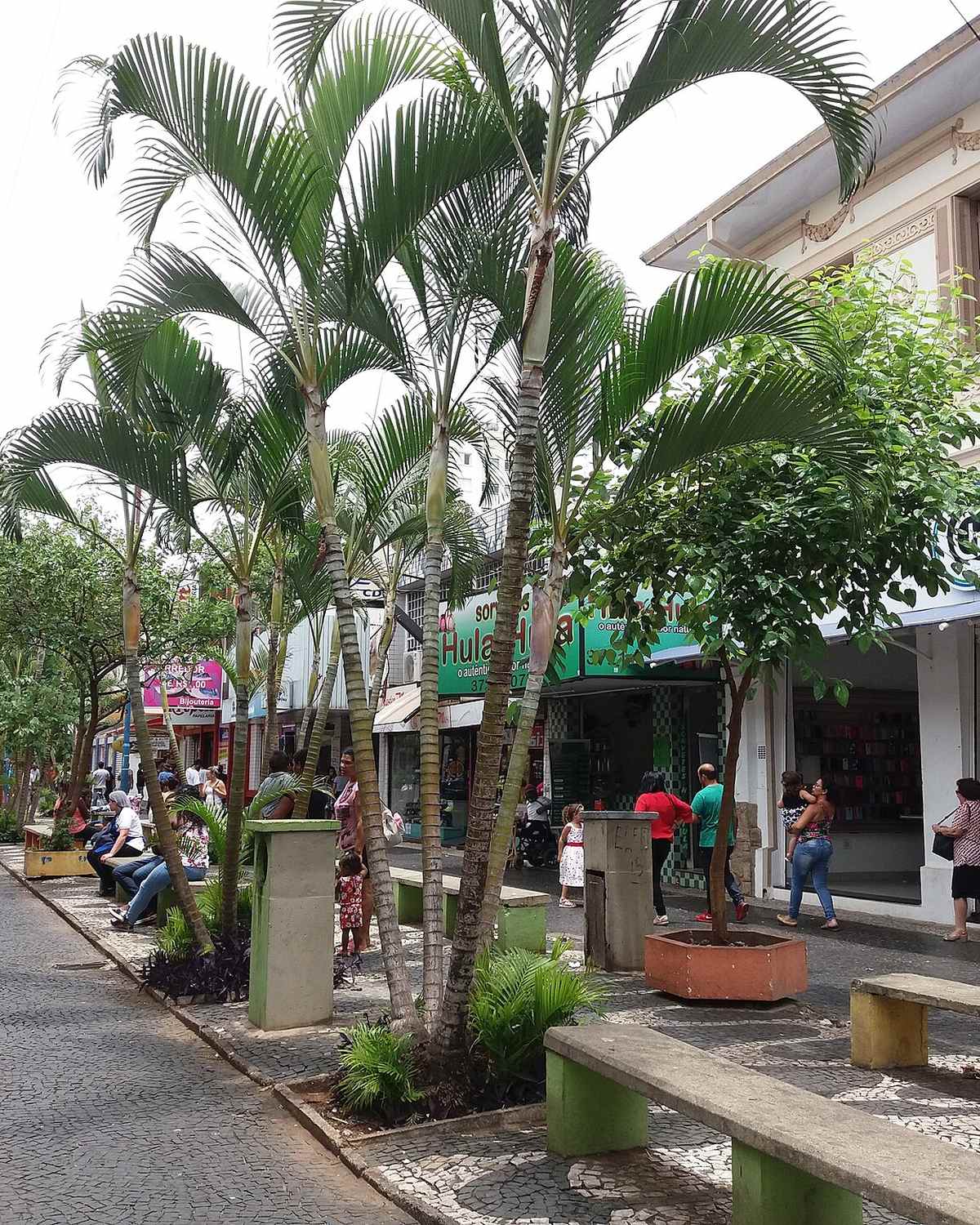 Calçadão da Rua Marechal Deodoro, no Centro de Franca, com palmeiras e canteiros no meio, bancos, pessoas caminhando e lojas dos dois lados.