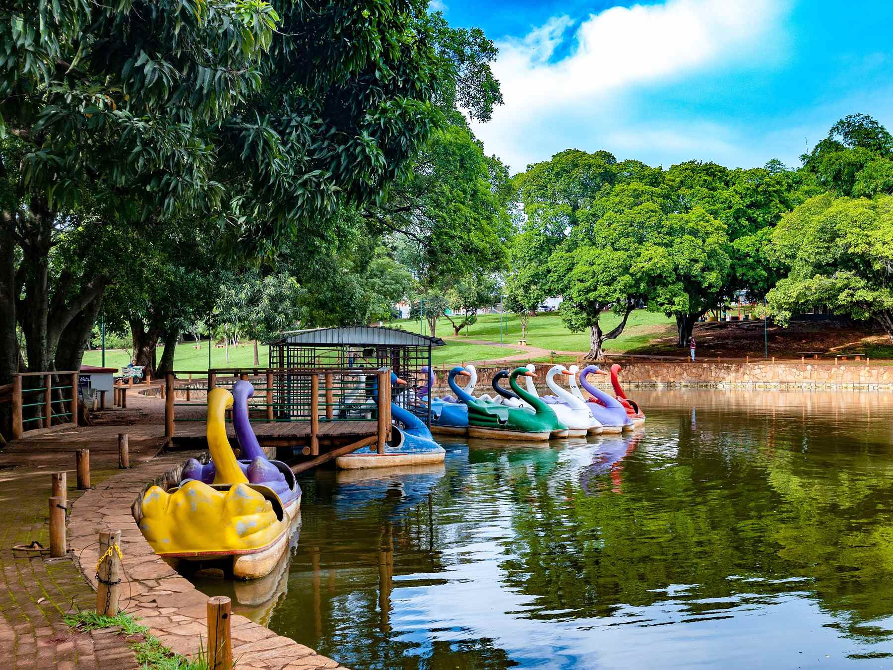 Lago das Rosas, em Goiânia, com pedalinhos coloridos em forma de cisne atracados no deque de madeira, a água verde refletindo as árvores grandes e o gramado ao fundo sob céu azul com nuvens.