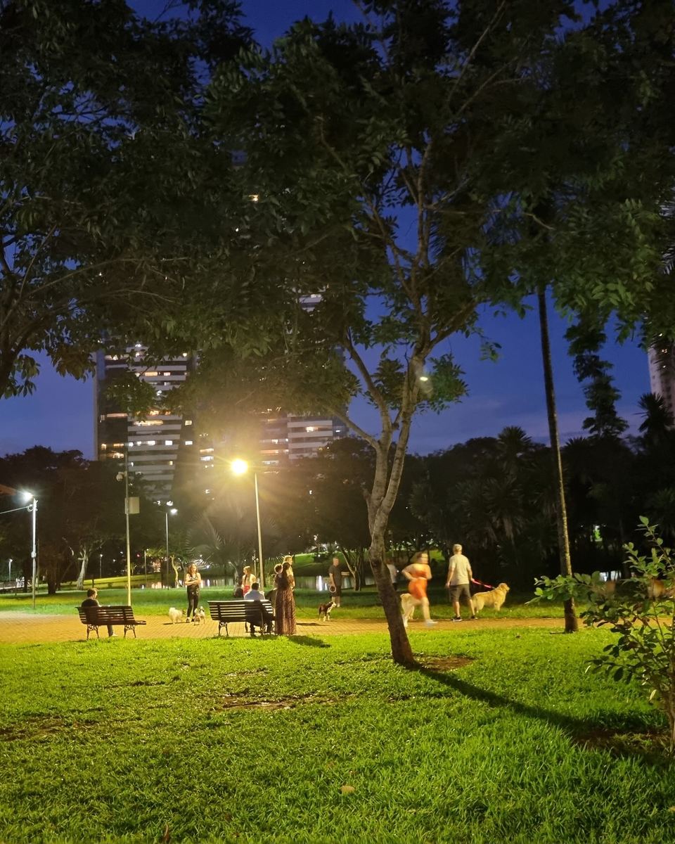 Parque Flamboyant à noite, com o gramado iluminado pelos postes, pessoas sentadas nos bancos e passeando com cachorros entre as árvores, e prédios altos acesos ao fundo.