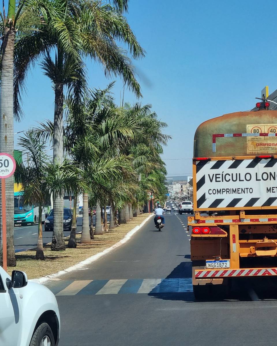 Avenida Presidente Vargas, em Rio Verde, com palmeiras no canteiro, um caminhão de carga com a placa de veículo longo na traseira e carros no trânsito sob céu azul.