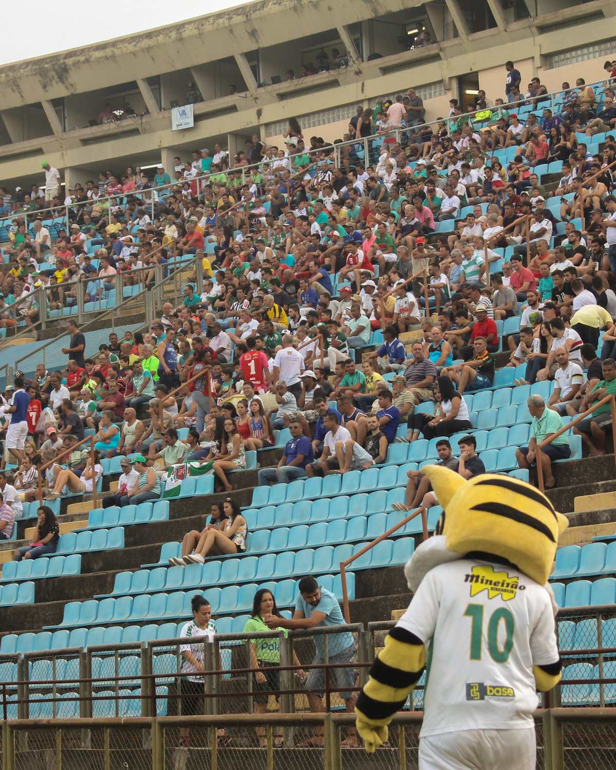 Arquibancada do Ipatingão cheia de torcedores em dia de jogo, muitos de camisa verde e branca, com o mascote de tigre do Ipatinga Futebol Clube, de camisa 10, passando em frente ao alambrado.