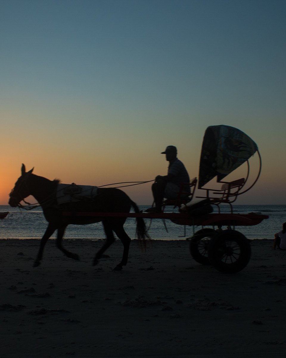 Charrete na areia da praia de Jericoacoara ao pôr do sol.