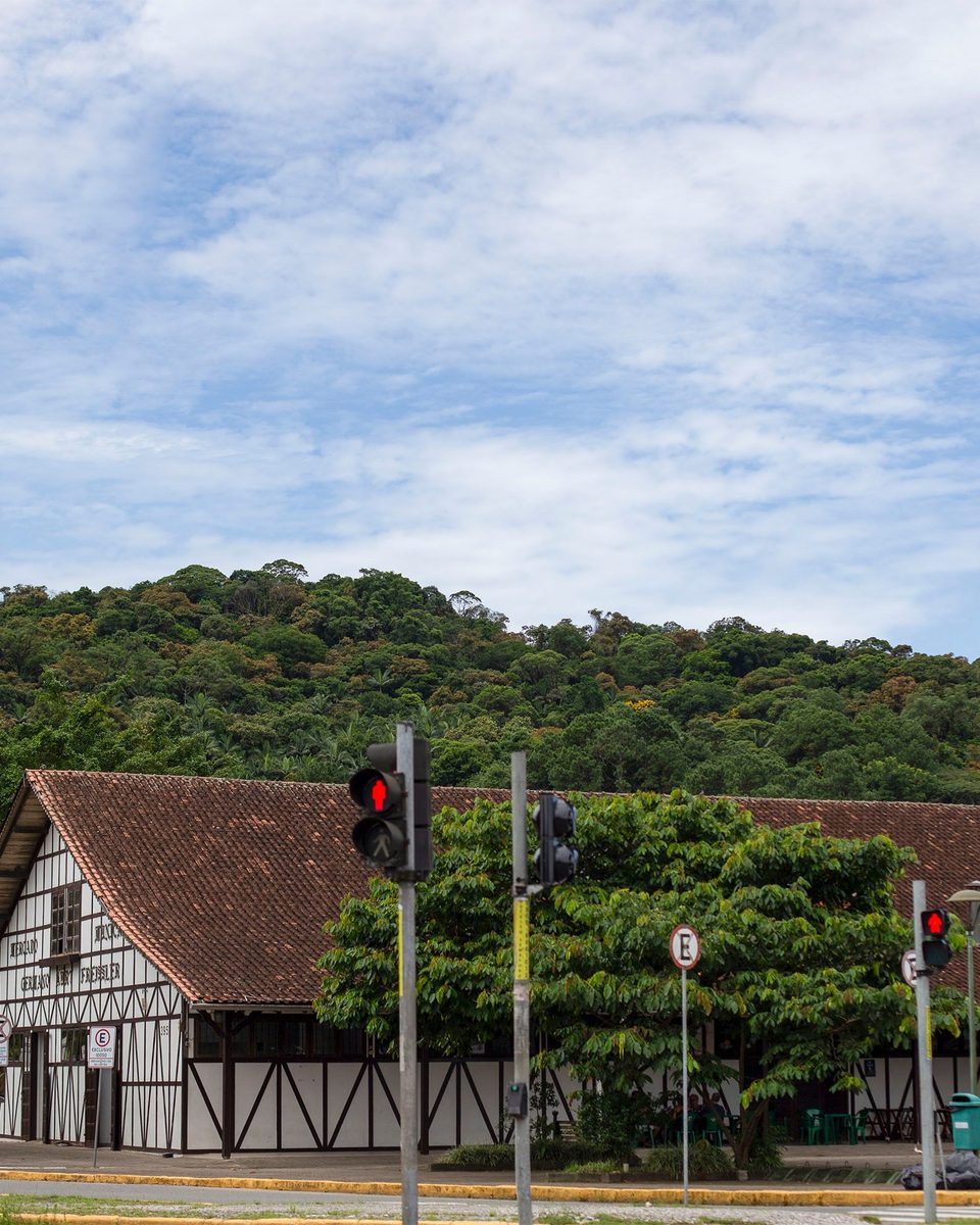 Mercado Municipal de Joinville, construção comprida em estilo enxaimel com vigas escuras e paredes brancas, na esquina de uma avenida arborizada, com o morro coberto de mata ao fundo e céu azul.