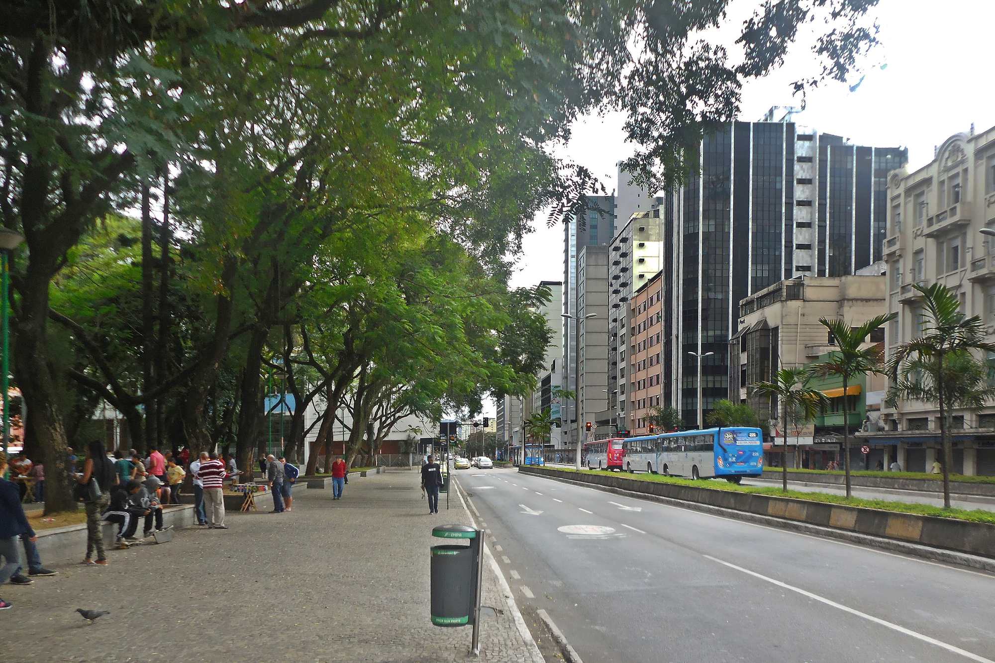 Pessoas conversando e sentadas nos bancos à sombra das árvores do Parque Halfeld, ao lado da Avenida Barão do Rio Branco, com ônibus passando e os prédios do centro de Juiz de Fora ao fundo.