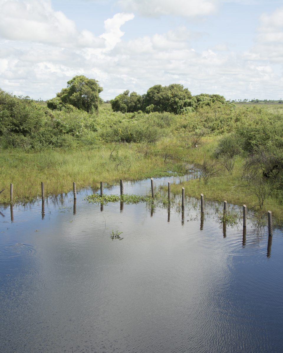 Cerca de mourões de madeira submersa marcando a divisa de duas propriedades em área alagada da Estrada Parque Pantanal, entre pastagem e ilhas de mata.