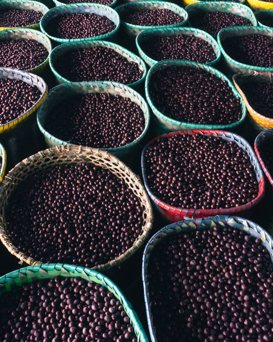 Dezenas de rasas coloridas cheias de açaí alinhadas na feira, prontas para a venda.