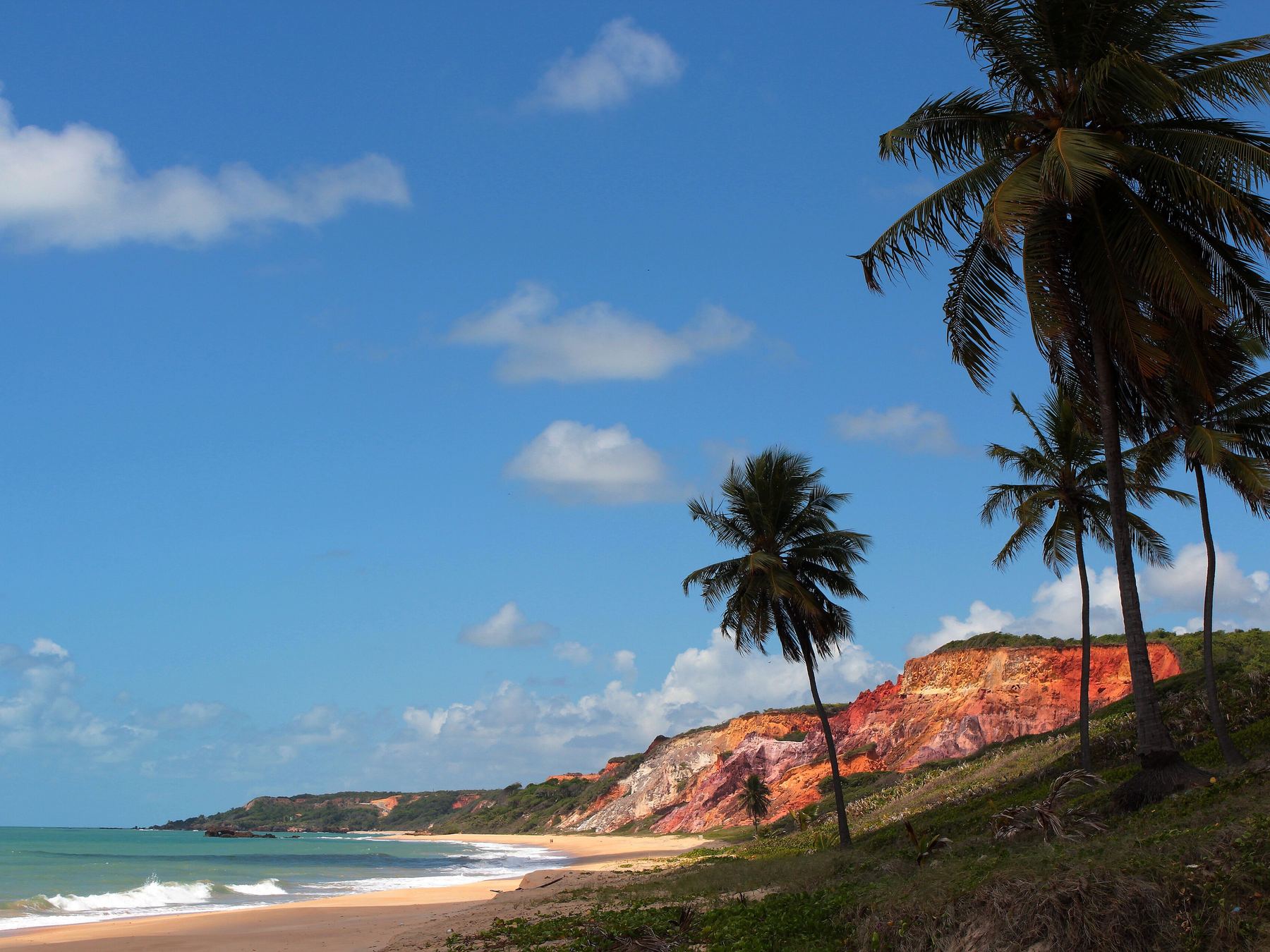 Praia de Coqueirinho, no litoral sul da Paraíba, com coqueiros no primeiro plano, as falésias vermelhas sobre a faixa de areia e o mar azul esverdeado