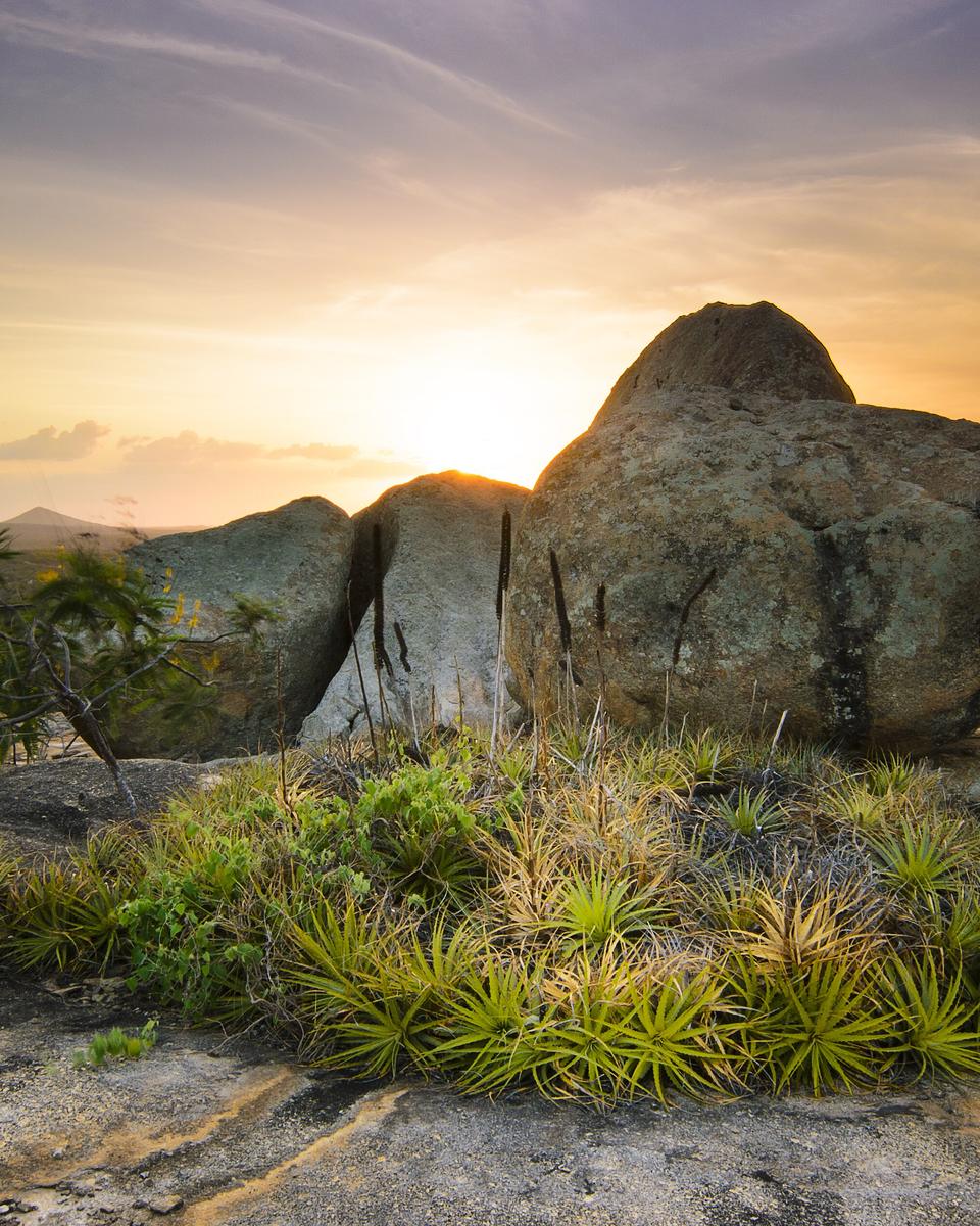 Blocos de granito arredondados sobre a laje do Lajedo de Pai Mateus, em Cabaceiras, com bromélias no primeiro plano e o sol baixo no horizonte
