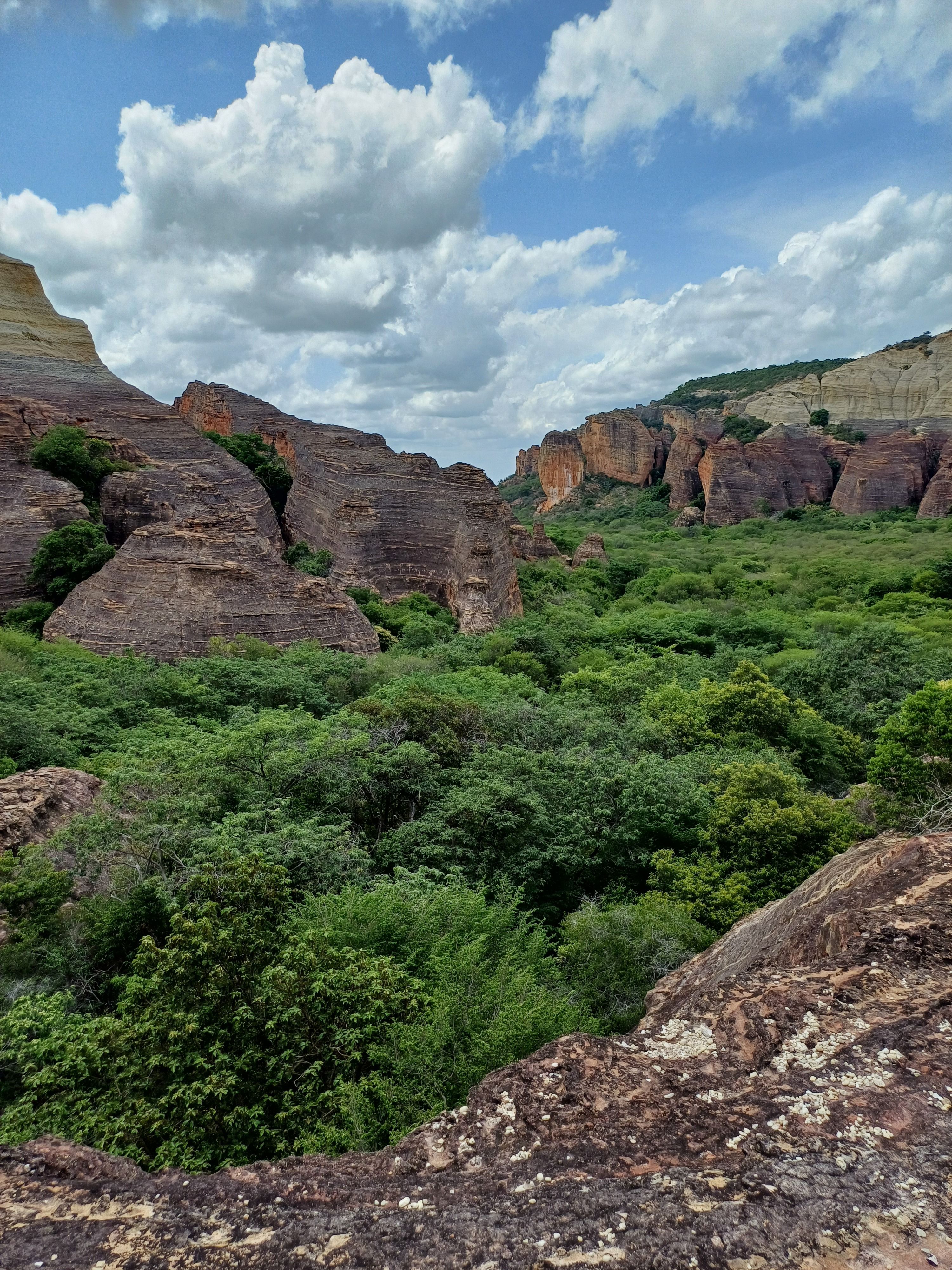 Vista aérea de canyons de pedra cobertos de vegetação seca no Parque Nacional Serra da Capivara, com formações rochosas avermelhadas e caatinga ao redor