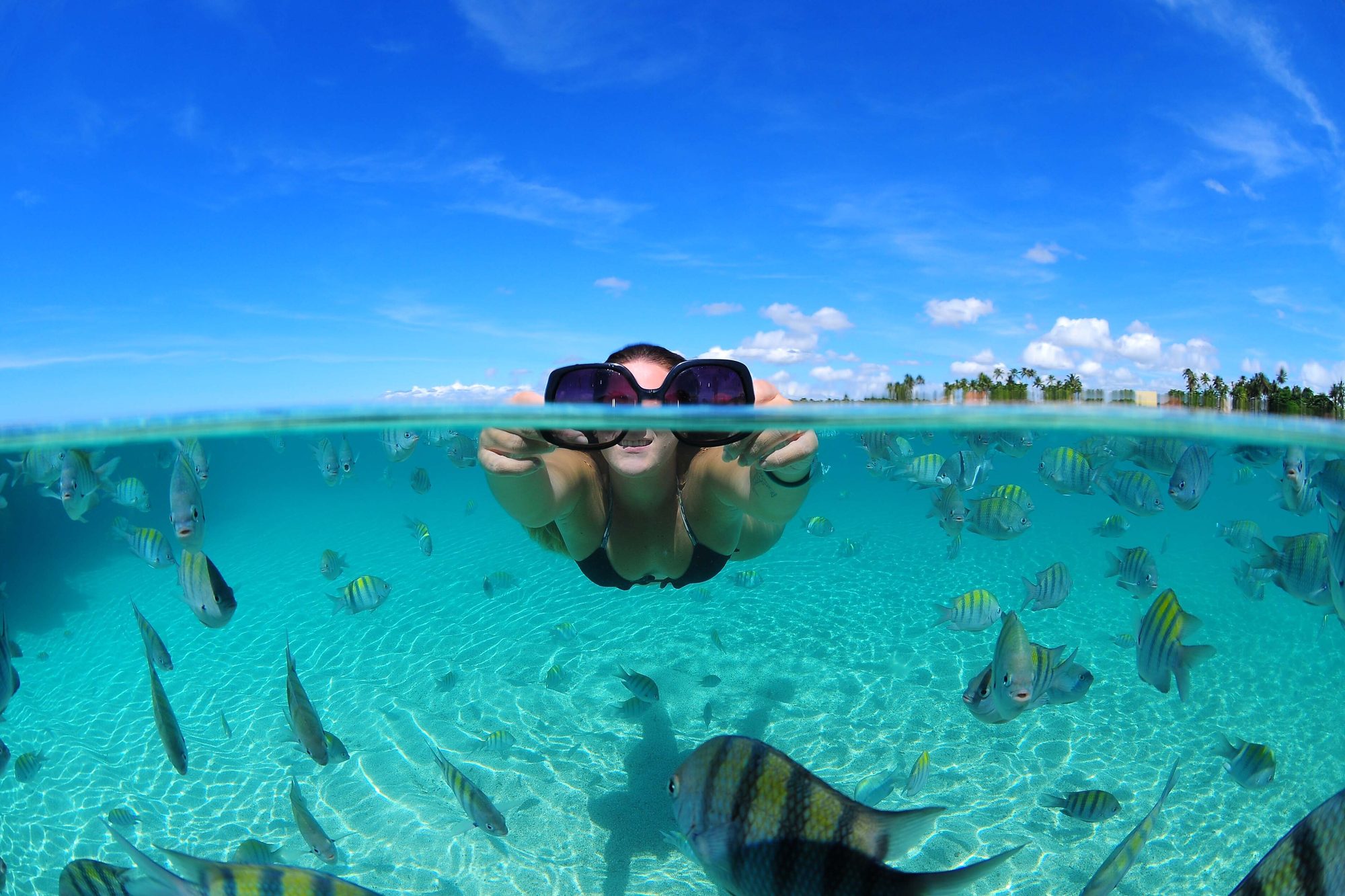 Pessoa de máscara de mergulho nadando na água azul-clara das piscinas naturais de Porto de Galinhas, com cardumes de peixes listrados em volta, o fundo de areia e o coqueiral da praia no horizonte, numa foto metade dentro e metade fora da água.