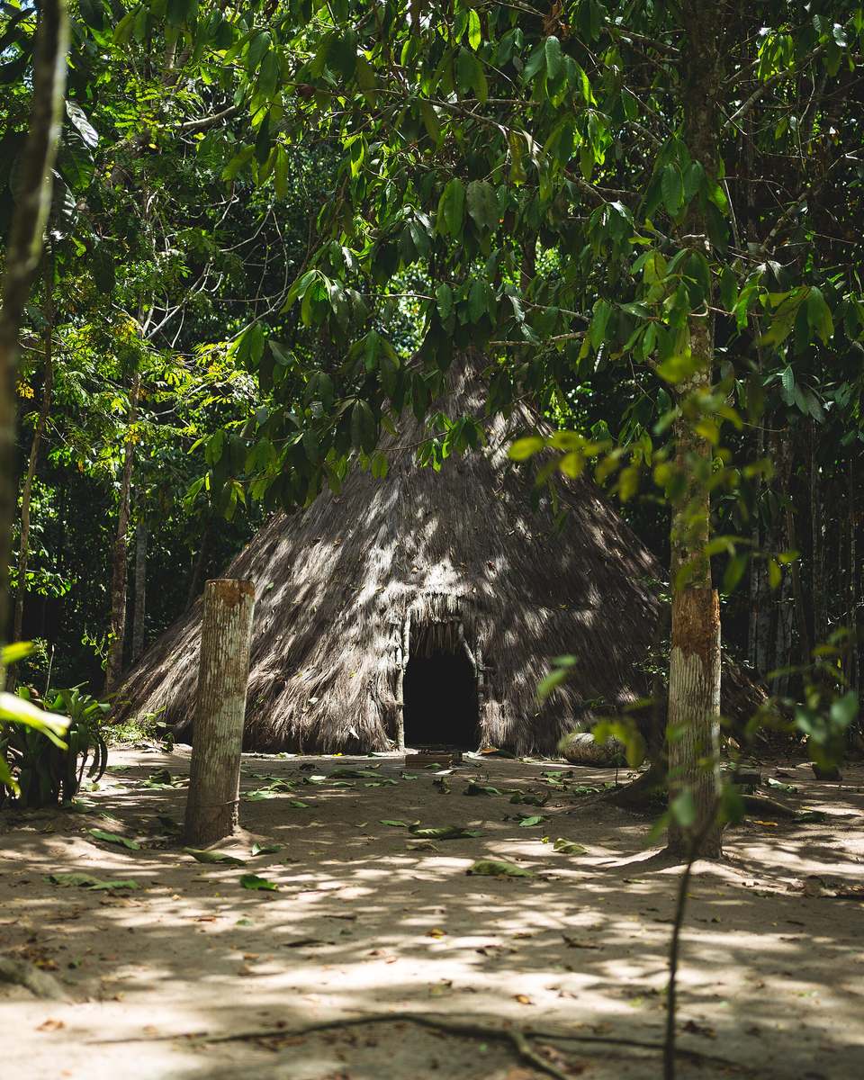 Kijeme, casa tradicional Pataxó coberta de palha, no meio da mata atlântica da Reserva da Jaqueira, com o chão de terra e a luz do sol passando entre as árvores.