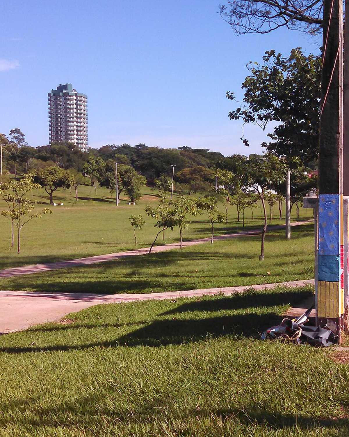 Gramado e árvores do Parque do Povo, em Presidente Prudente, com a calçada ao lado e um prédio ao fundo.