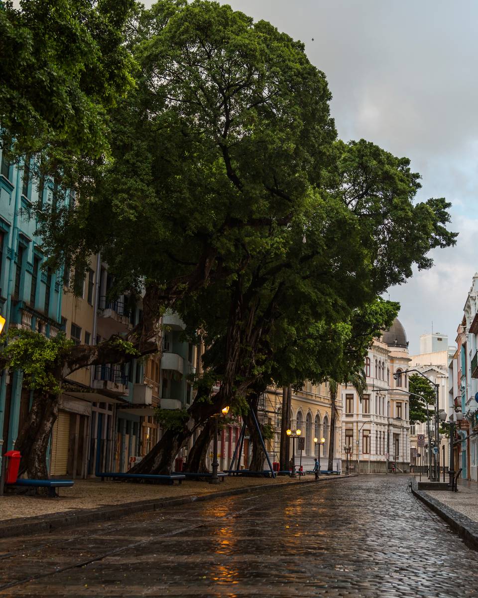 Rua do Recife Antigo depois da chuva, com o calçamento de pedra molhado, árvores grandes fazendo sombra, postes antigos acesos e sobrados coloridos com sacadas dos dois lados.
