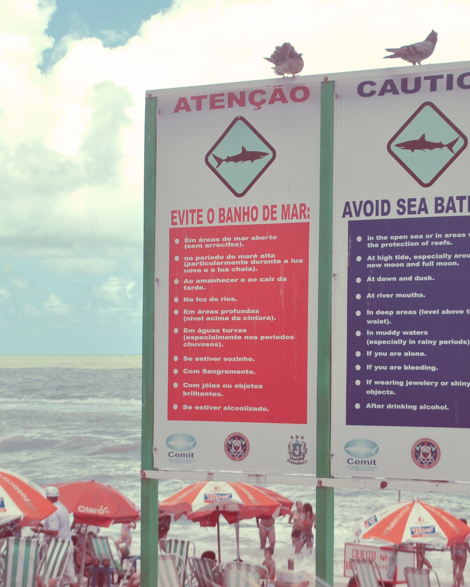 Placas de alerta em português e inglês com o desenho de um tubarão na Praia de Boa Viagem, no Recife, recomendando evitar o banho de mar, com guarda-sóis vermelhos e brancos na areia e pombos no alto das placas.