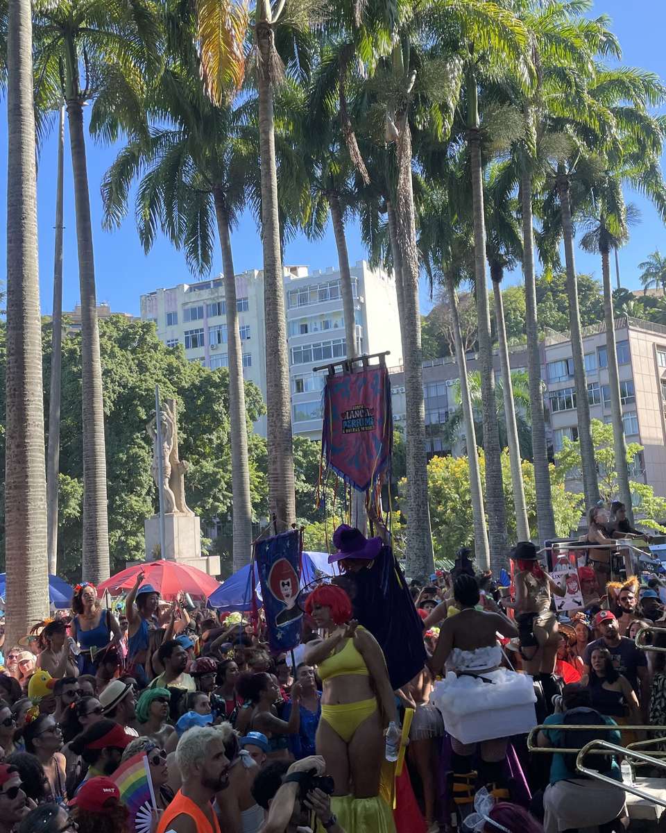 Multidão fantasiada num bloco de Carnaval de rua no Rio, entre palmeiras altas, com gente de peruca colorida, uma pessoa de perna de pau e um estandarte ao fundo.