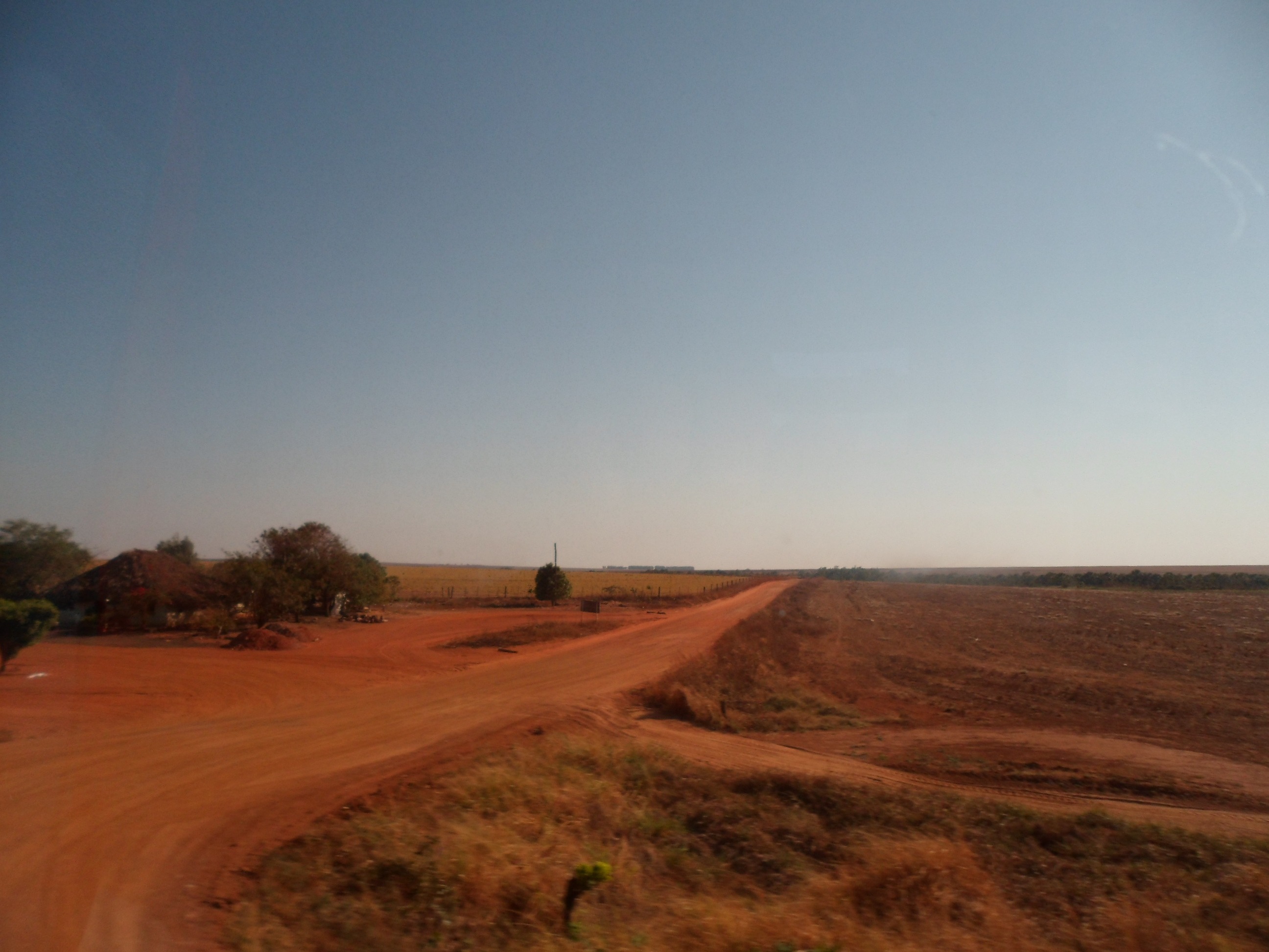 Estrada de terra vermelha cortando plantação de soja ao entardecer, com o horizonte aberto, na zona rural de Vilhena