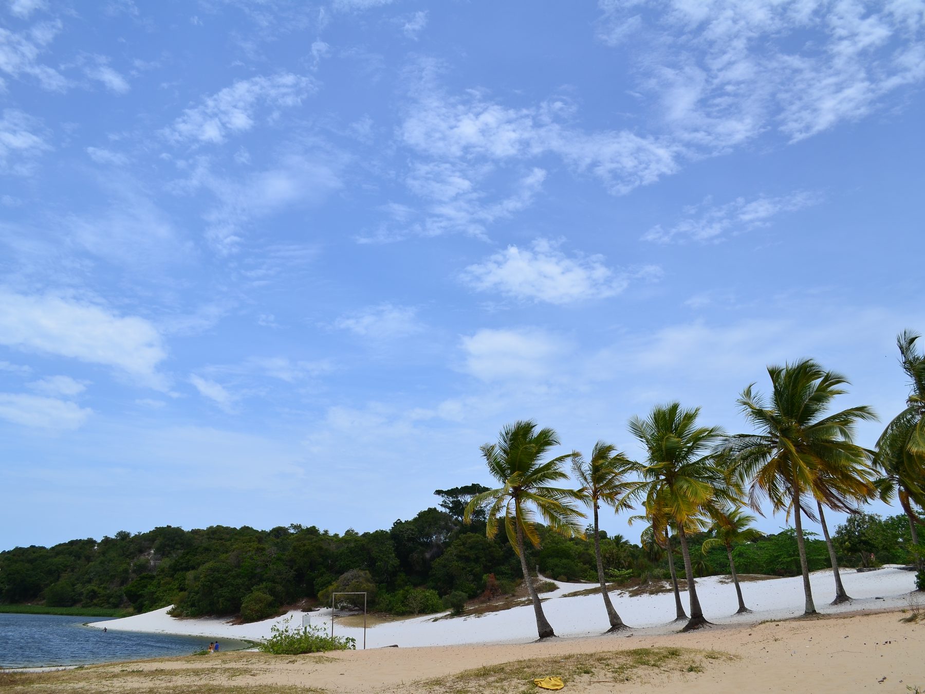 Lagoa do Abaeté, em Itapuã, Salvador, com as dunas de areia branca, uma fileira de coqueiros inclinados e a mata ao redor, sob céu azul com nuvens finas.