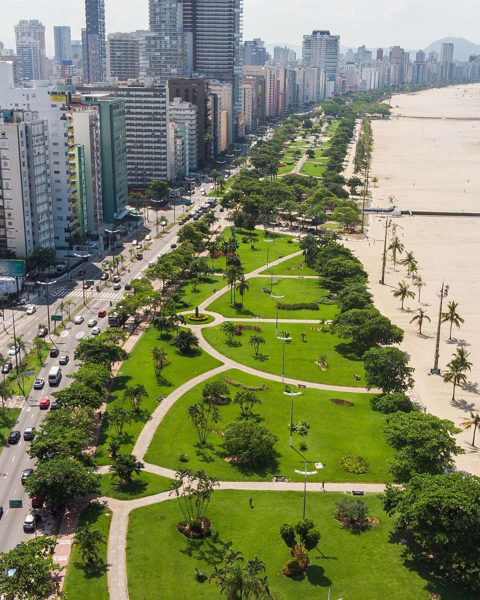 Vista aérea do jardim da orla de Santos, com gramados, caminhos e palmeiras entre a avenida e a praia.