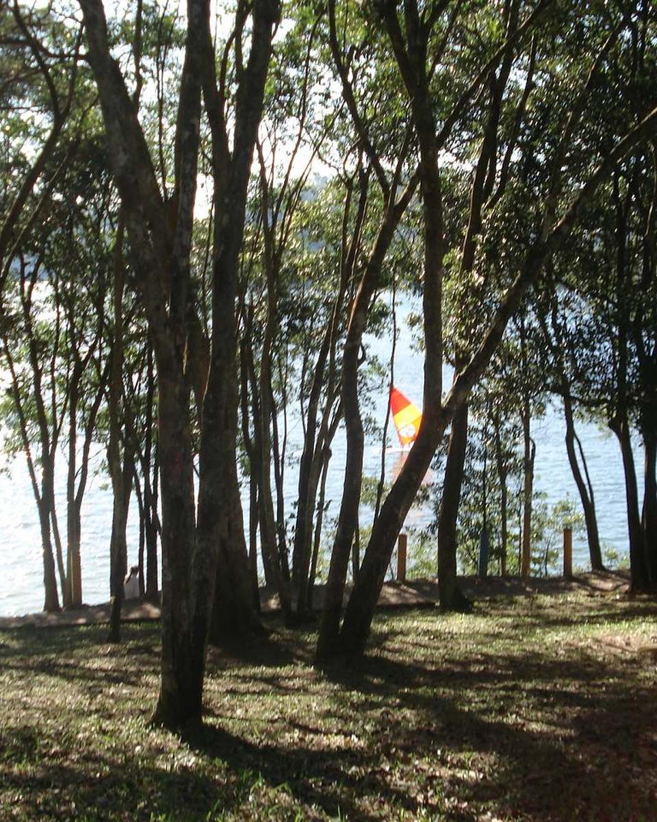 Represa Billings vista entre troncos de árvores no Parque Estoril, em São Bernardo do Campo, com a água brilhando ao sol e uma bandeira colorida na margem.