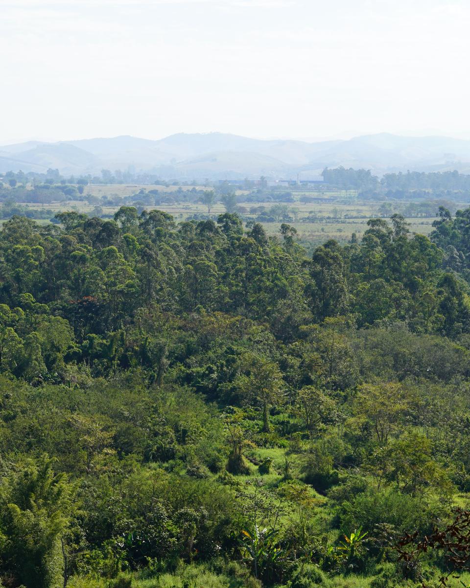 Vista do Banhado de São José dos Campos, com a mata verde em primeiro plano e a várzea do Paraíba e a serra ao fundo.
