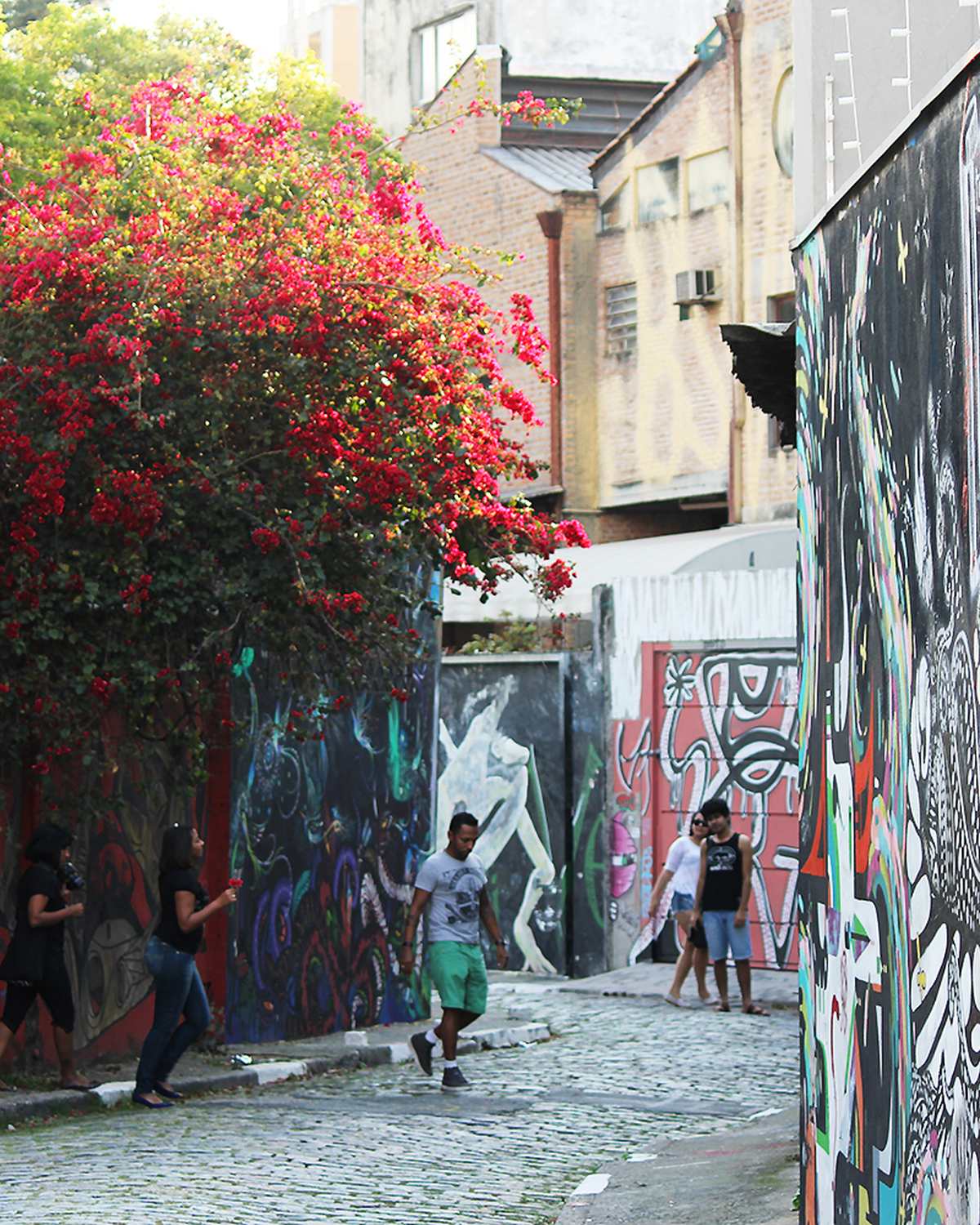 Pessoas passeando entre muros grafitados e uma buganvília florida no Beco do Batman, na Vila Madalena.