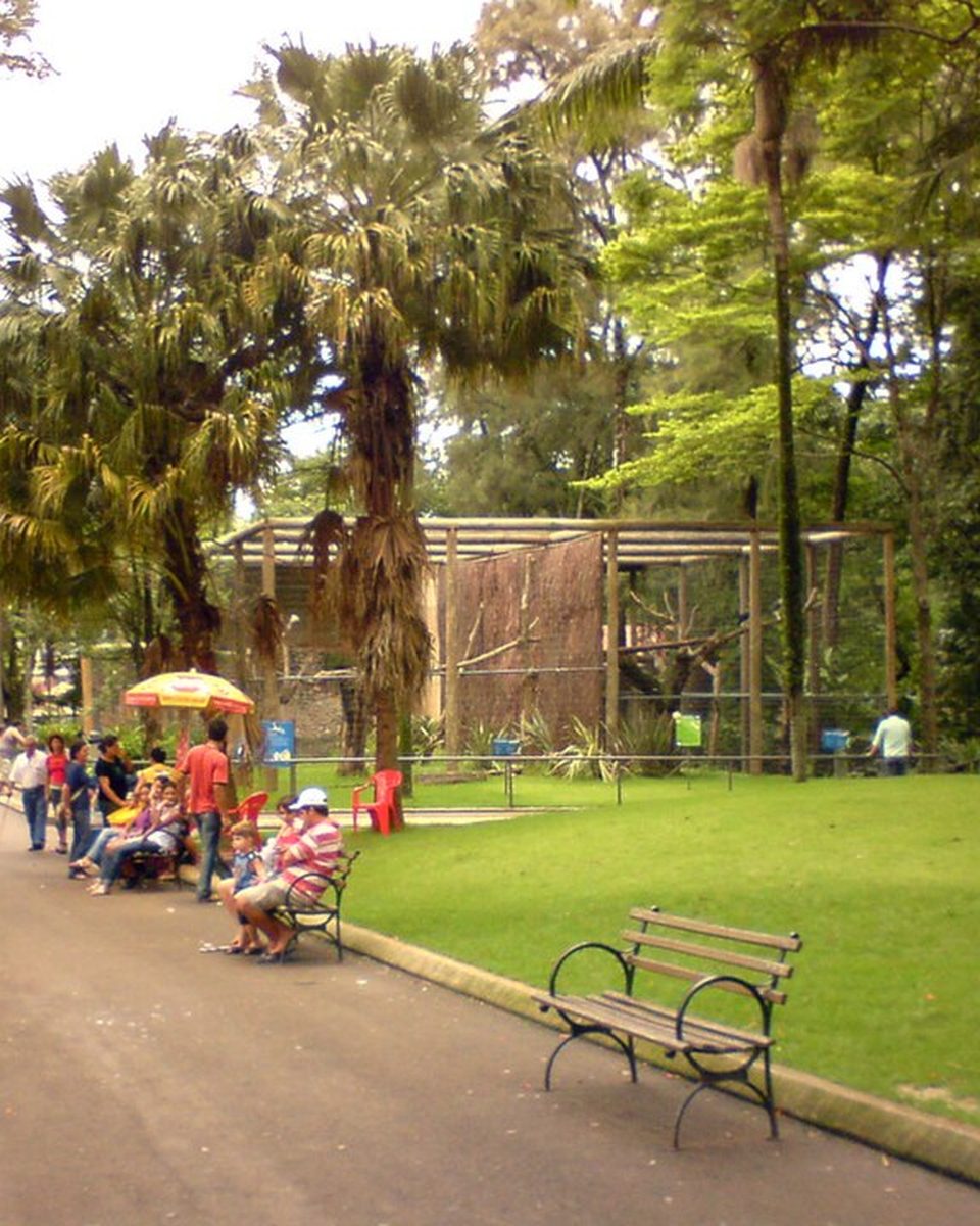 Pessoas caminhando por uma alameda arborizada do Zoológico Quinzinho de Barros, em Sorocaba, com bancos e gramado ao lado.
