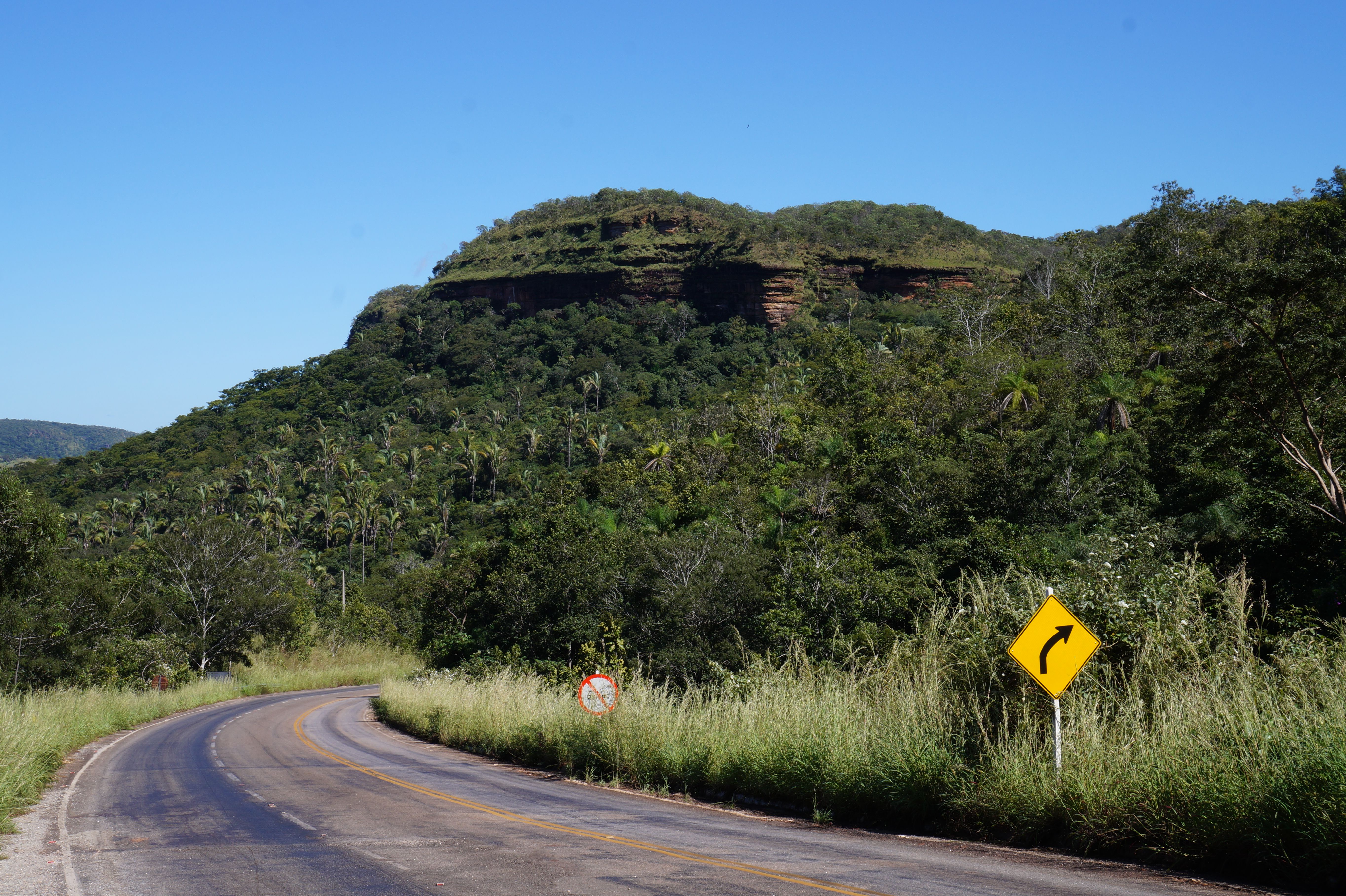 Estrada sinuosa entre a vegetação densa e verde de Taquaruçu, distrito de Palmas, subindo em direção à serra