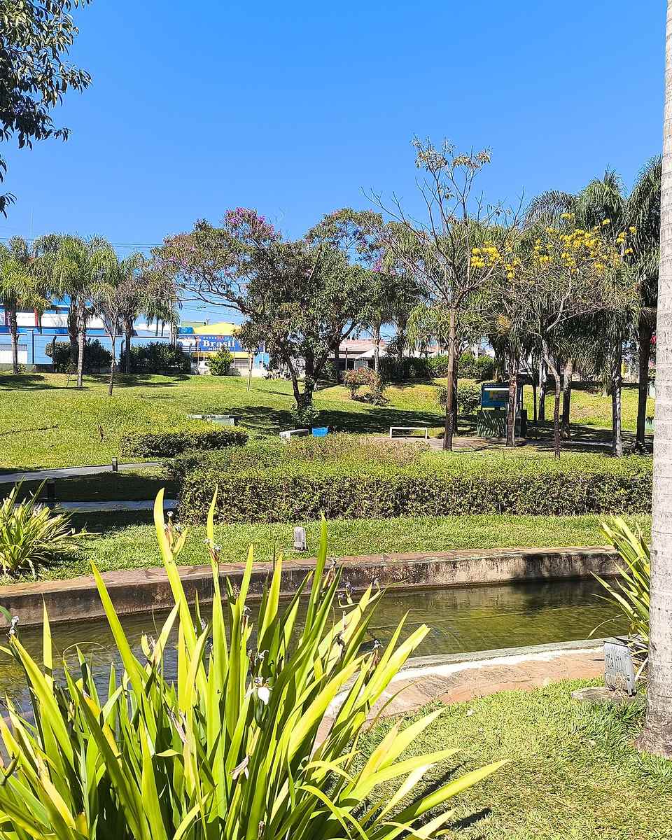 Gramado, palmeiras, canteiros e um canal d'água num dia de céu azul no Parque do Sabiá, em Uberlândia.